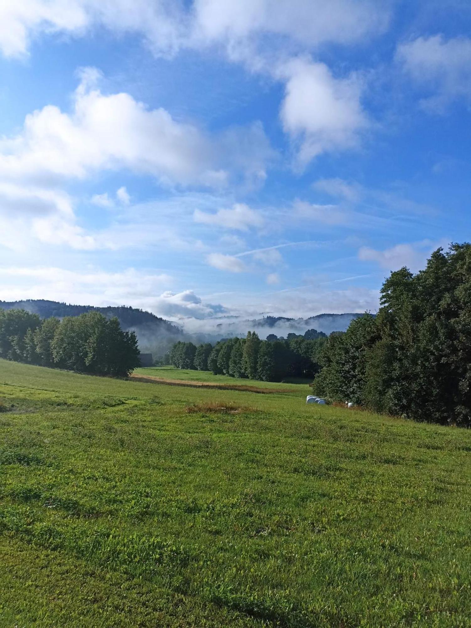 Maraska Holiday House Kamienna Gora Eksteriør bilde