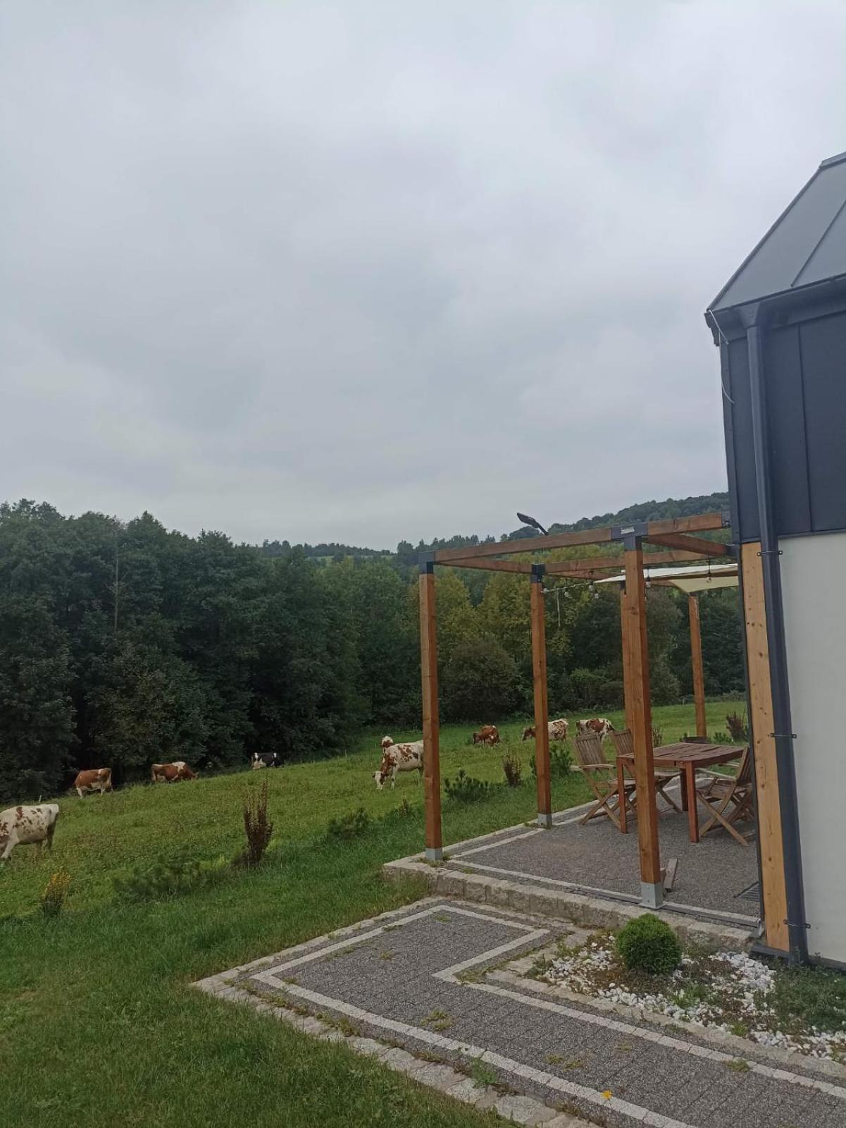 Maraska Holiday House Kamienna Gora Eksteriør bilde